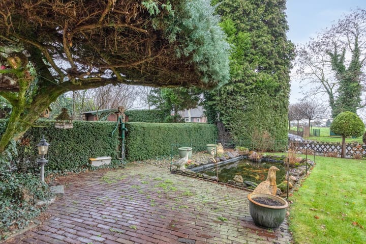 Foto 53 van Husselarijstraat 34