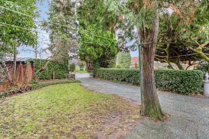 Foto 57 van Husselarijstraat 34