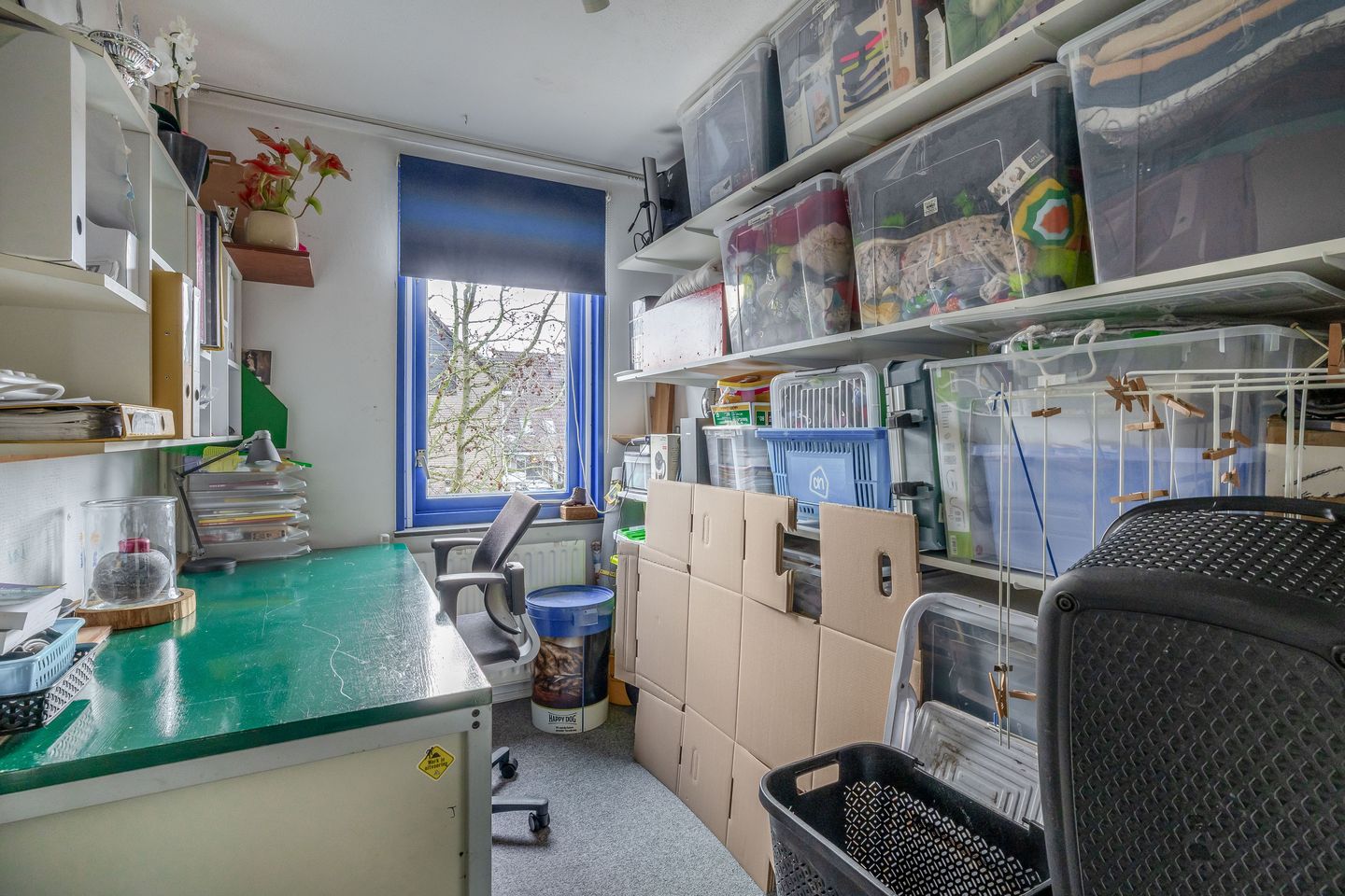 Foto 34 van Begoniaveld 45