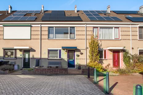 undefined main image