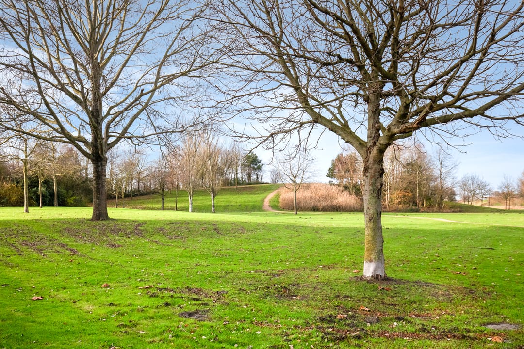 Foto 46 van Ridderburgpark 83