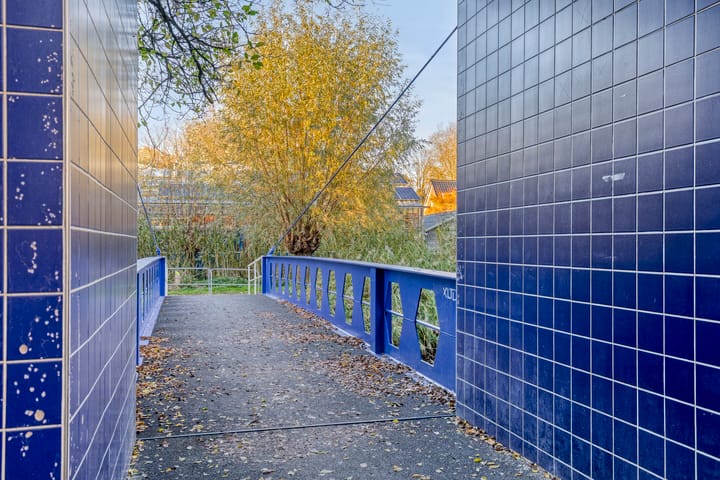 Foto 29 van Dilsenstraat 18