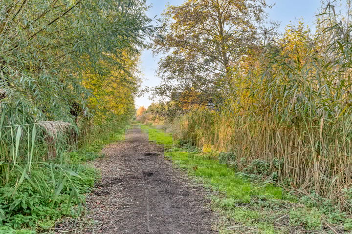 Foto 37 van Dilsenstraat 18