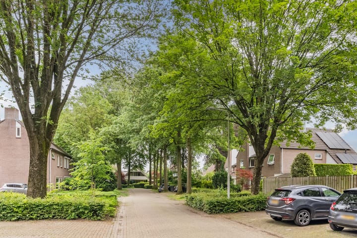 Foto 39 van Löblaan 3