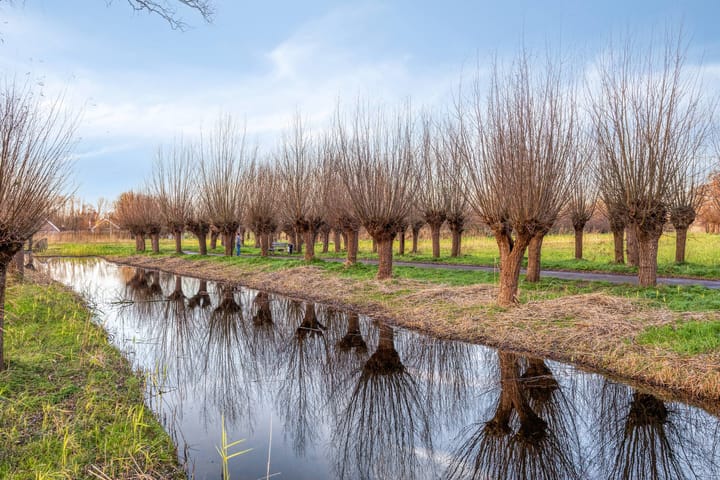 Foto 38 van Elzendreef 64