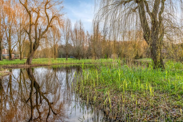 Foto 39 van Elzendreef 64