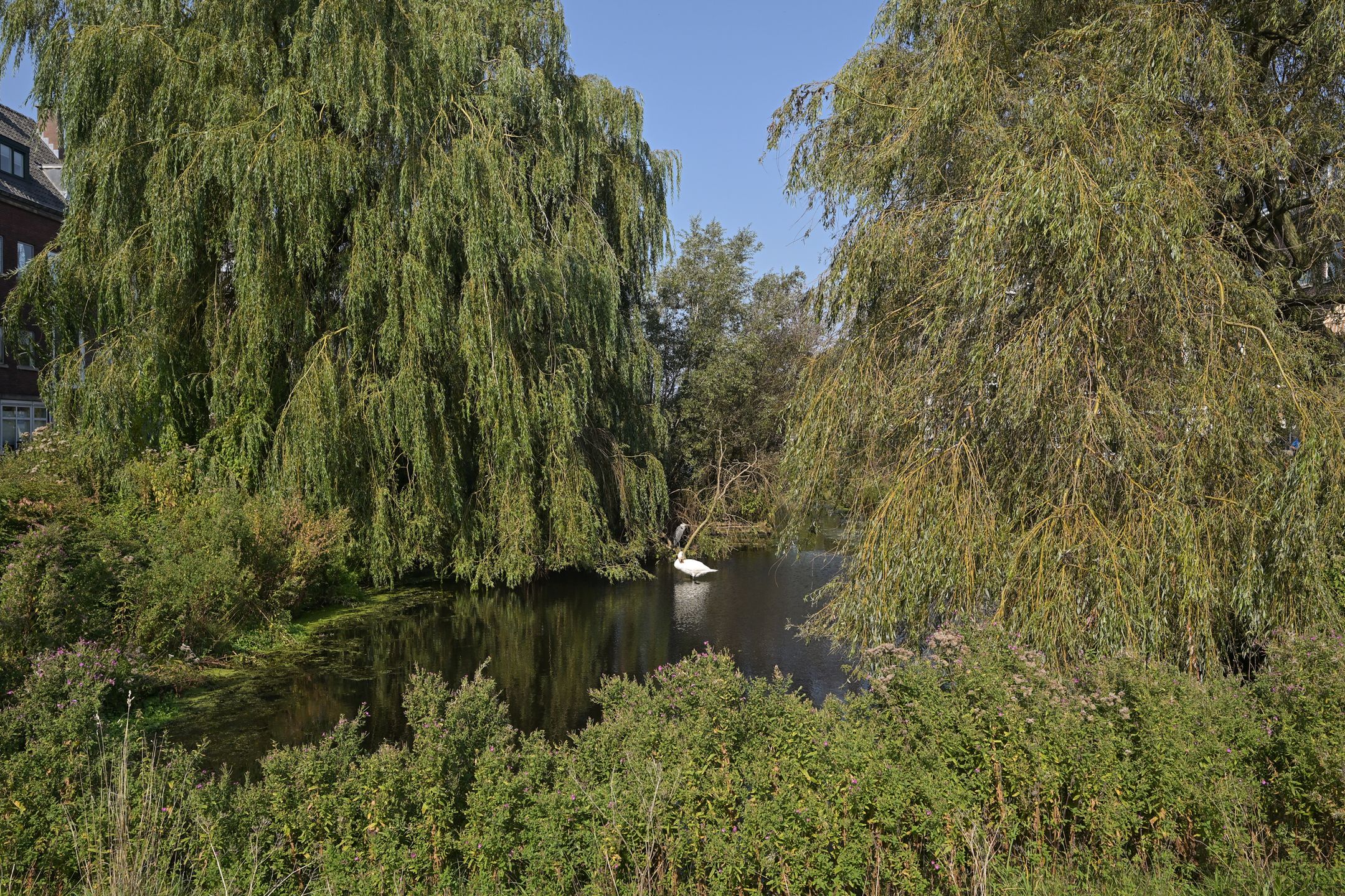 Foto 30 van Vlierboomstraat 187