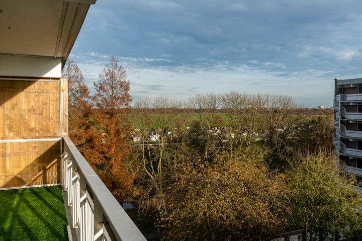 Photo 13 of Isabellaland 916