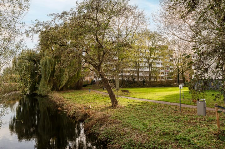 Photo 26 of Isabellaland 916