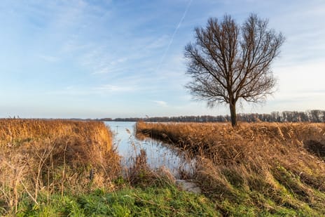 Lange Wetering 65 tertiary image