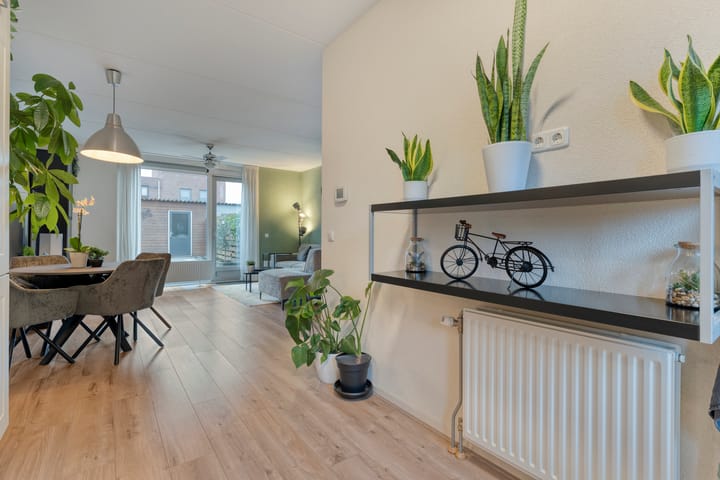 Photo 9 of Citroenvlinder 55