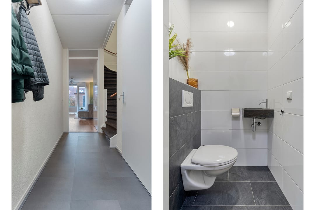 Photo 11 of Citroenvlinder 55