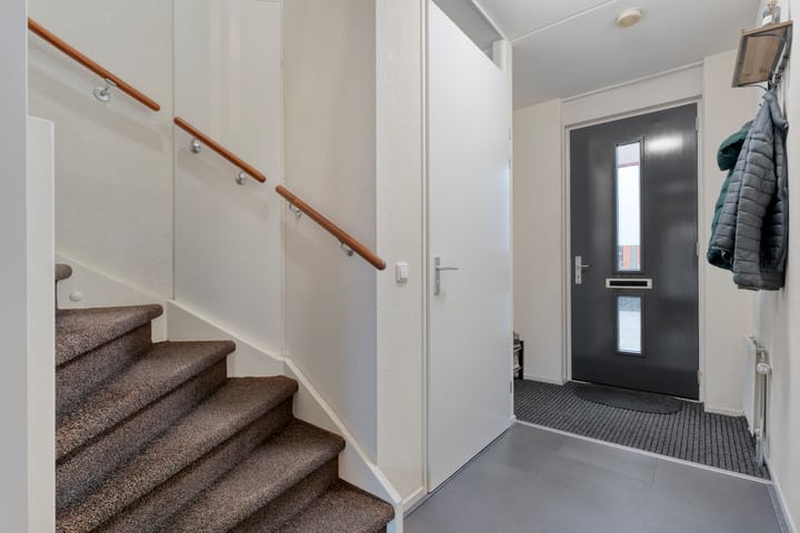 Photo 12 of Citroenvlinder 55