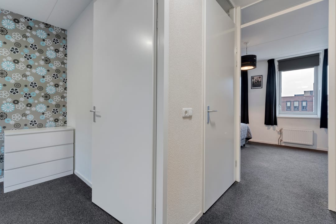 Photo 16 of Citroenvlinder 55