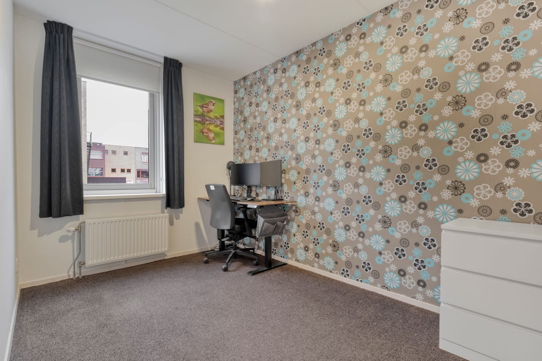 Photo 17 of Citroenvlinder 55