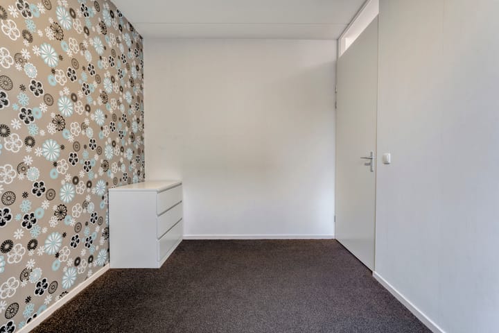 Photo 18 of Citroenvlinder 55