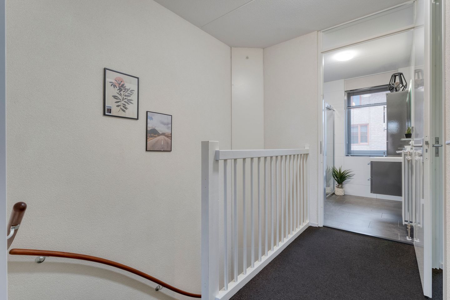 Photo 19 of Citroenvlinder 55