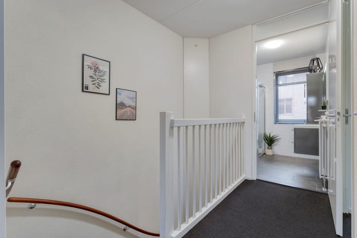 Photo 19 of Citroenvlinder 55