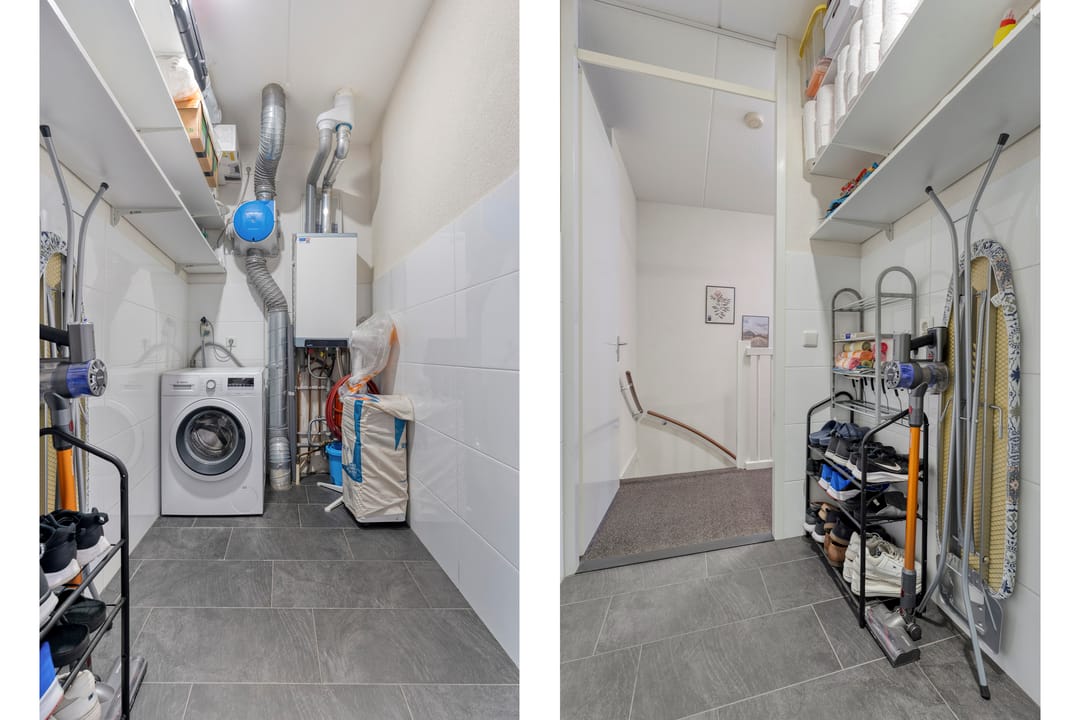 Photo 23 of Citroenvlinder 55