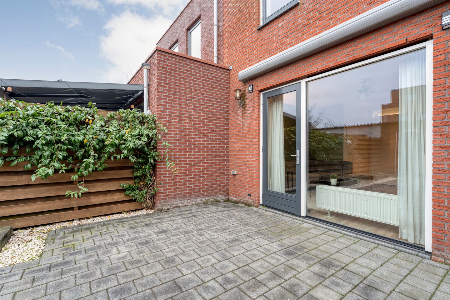 Photo 25 of Citroenvlinder 55