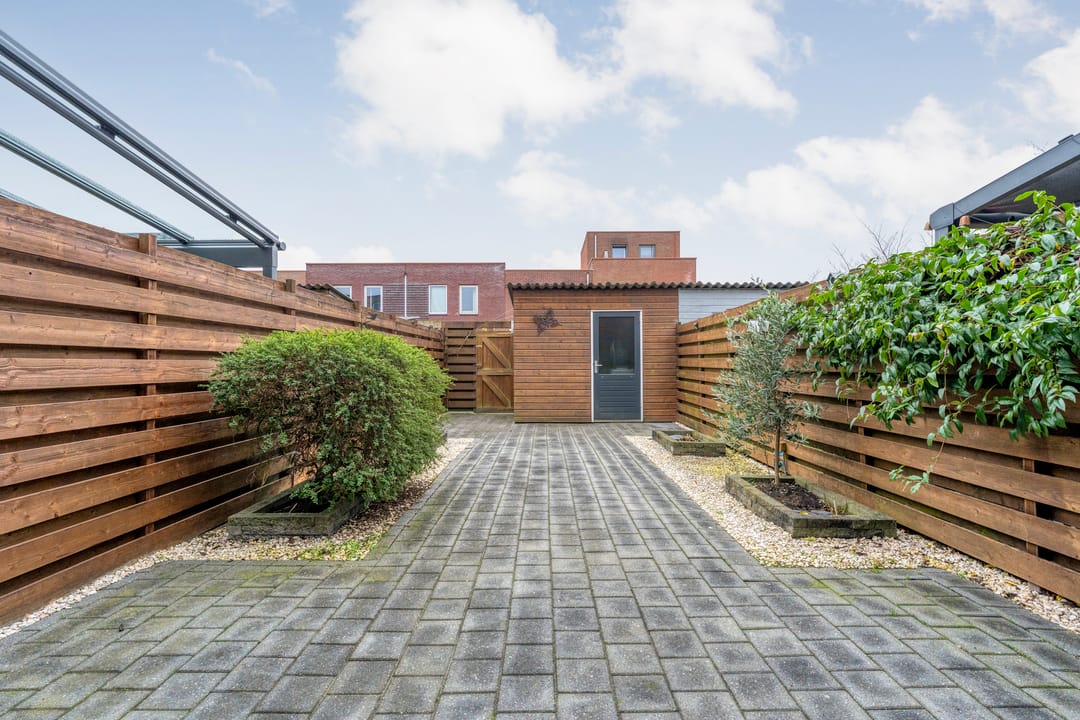 Photo 26 of Citroenvlinder 55