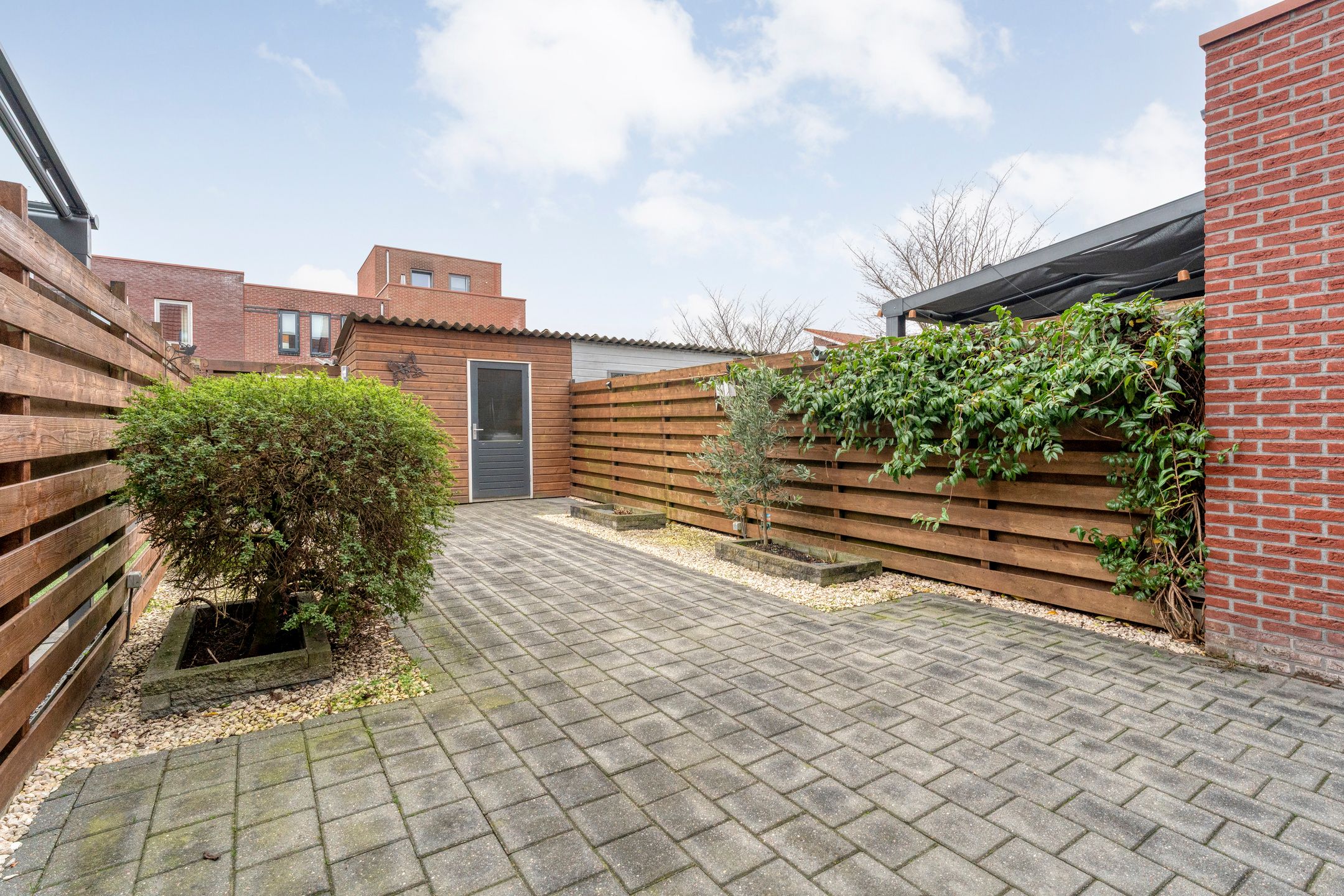 Photo 27 of Citroenvlinder 55