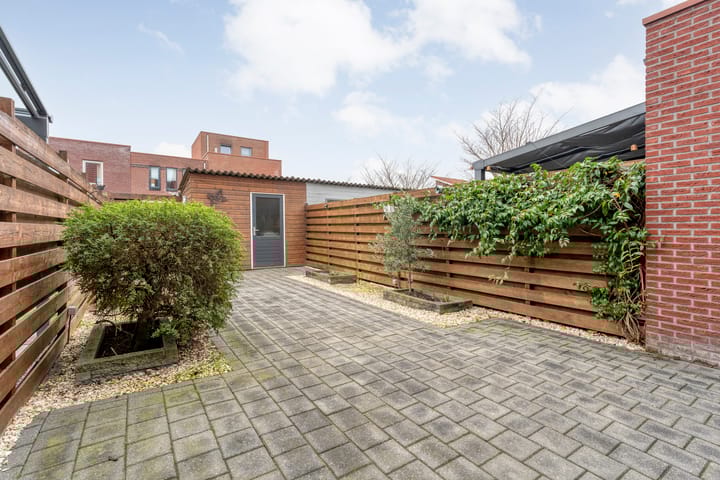 Photo 27 of Citroenvlinder 55