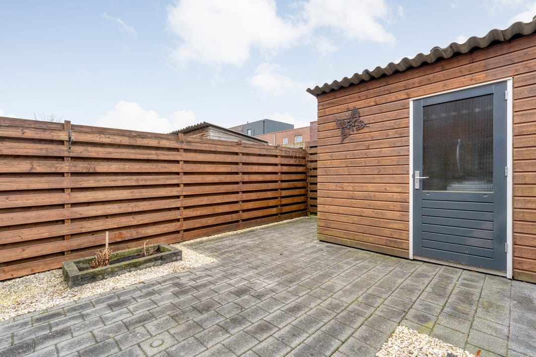 Photo 28 of Citroenvlinder 55