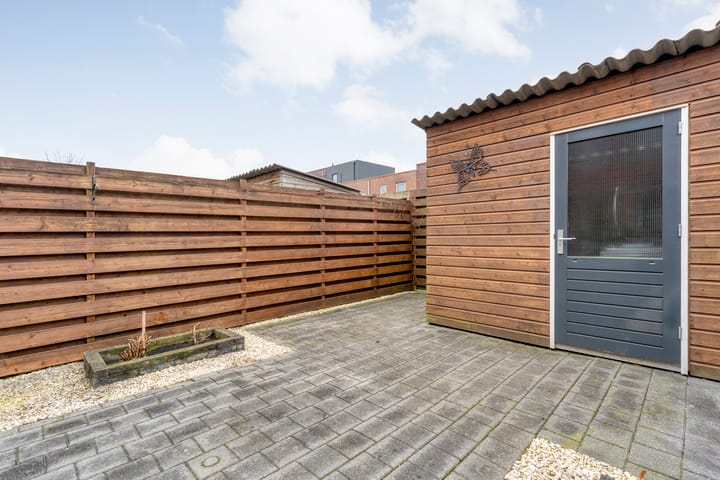 Photo 28 of Citroenvlinder 55