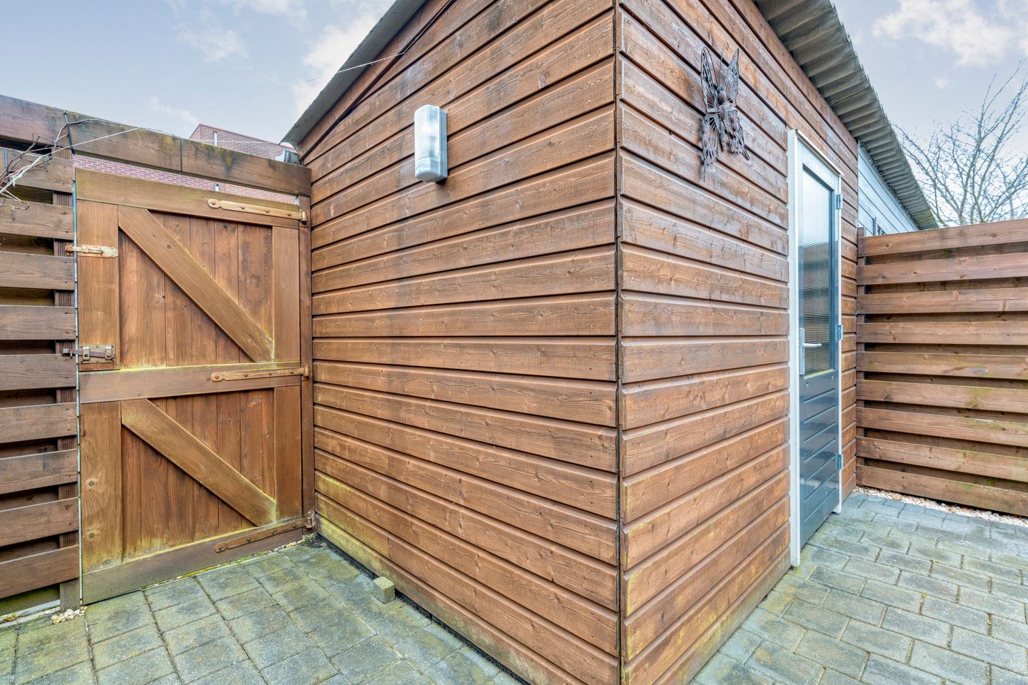 Photo 29 of Citroenvlinder 55