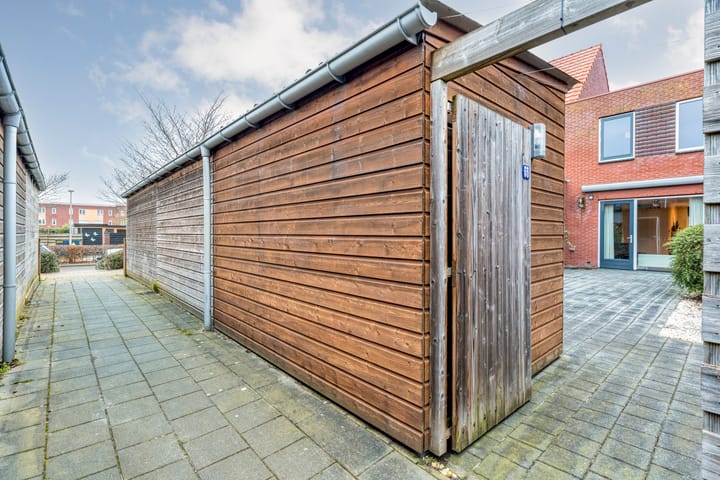 Photo 30 of Citroenvlinder 55