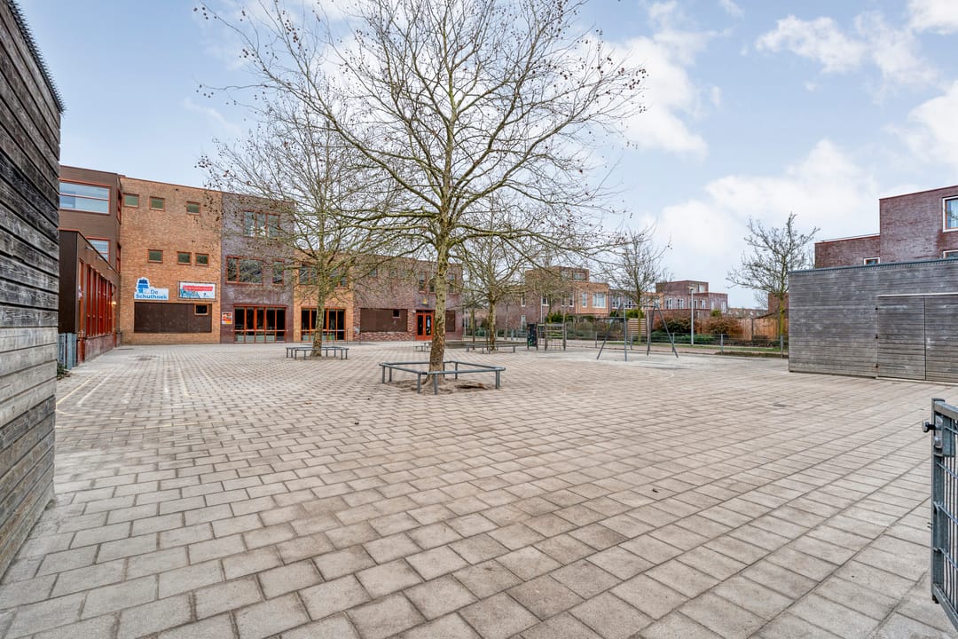 Photo 31 of Citroenvlinder 55