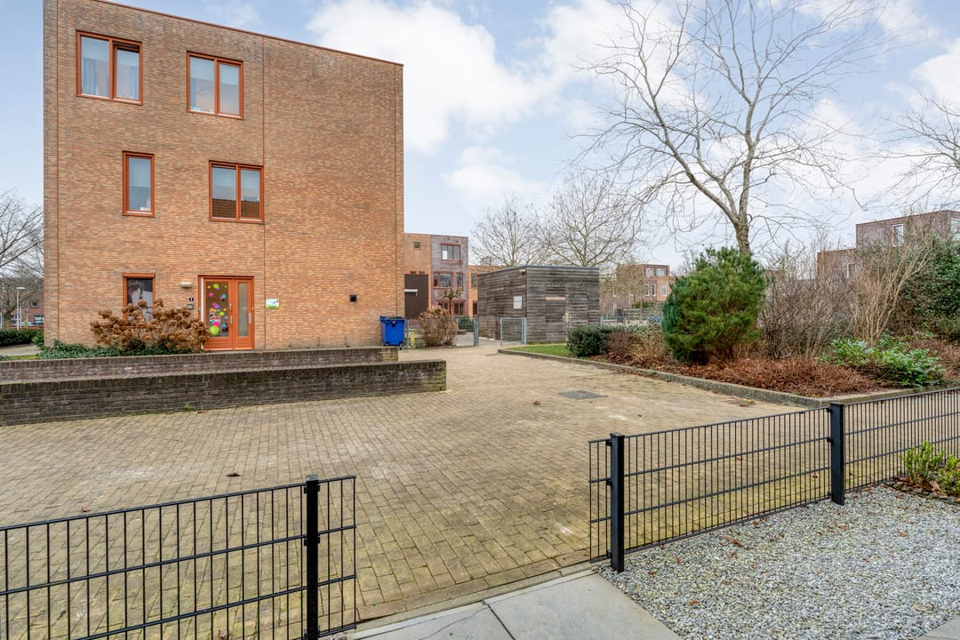 Photo 32 of Citroenvlinder 55