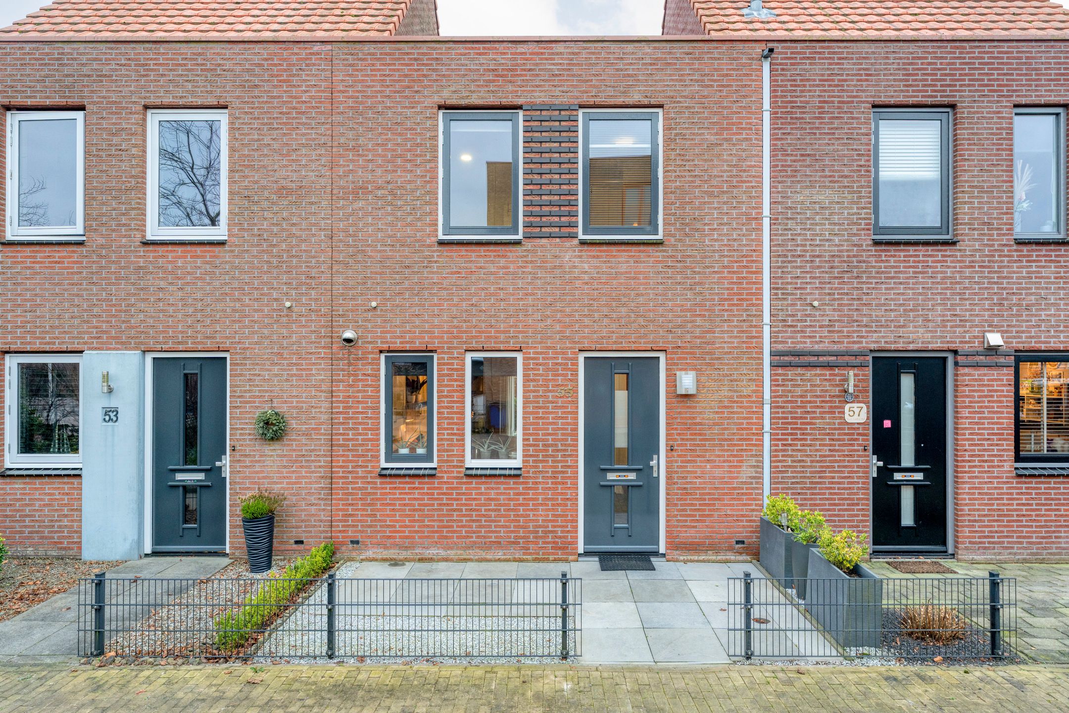 Photo 33 of Citroenvlinder 55