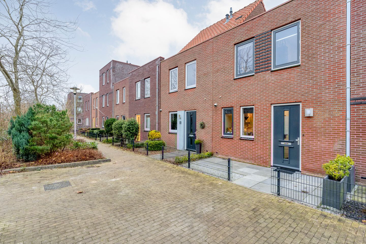 Photo 34 of Citroenvlinder 55