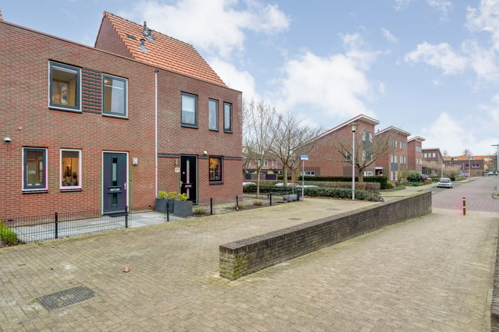 Photo 35 of Citroenvlinder 55