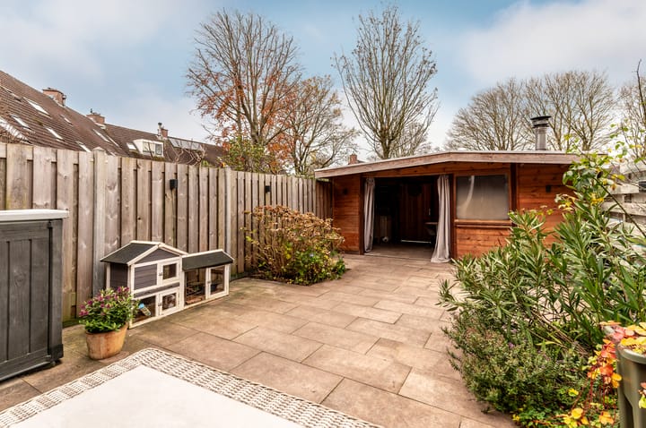 Foto 27 van Schapenmeent 146