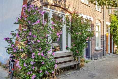 Douwes Dekkerstraat 18 secondary image