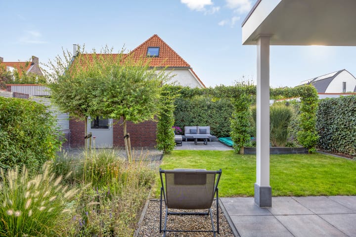 Foto 36 van Kleine Vuurvlinder 19