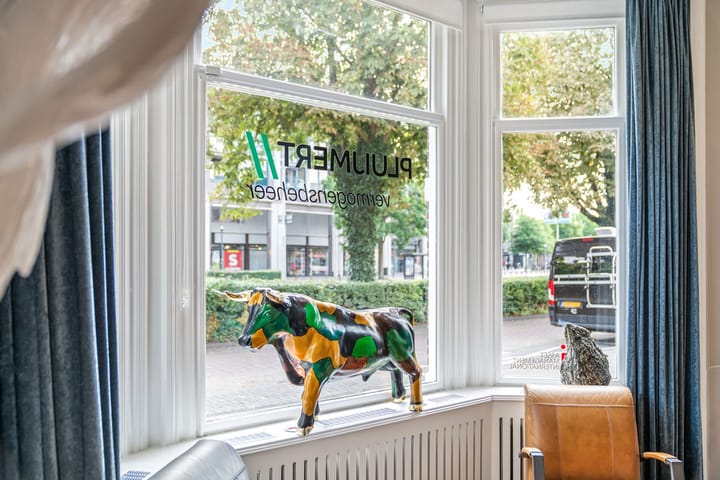 Foto 7 van Stadsring 63