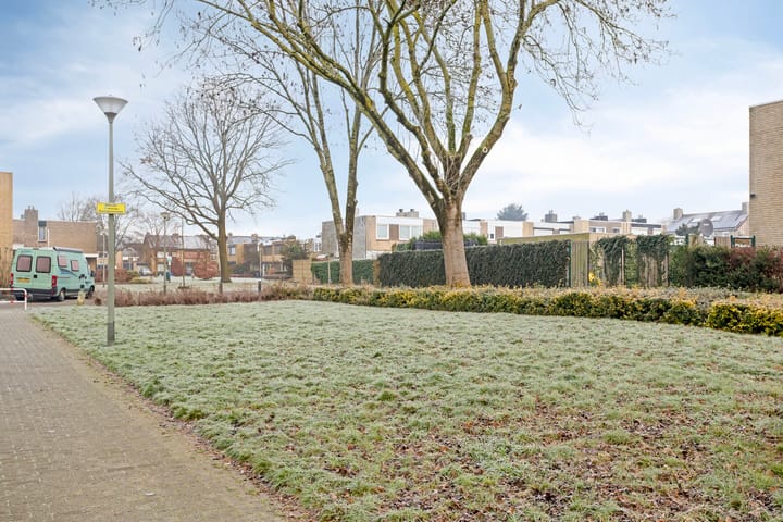 Foto 50 van Bijvoet 6