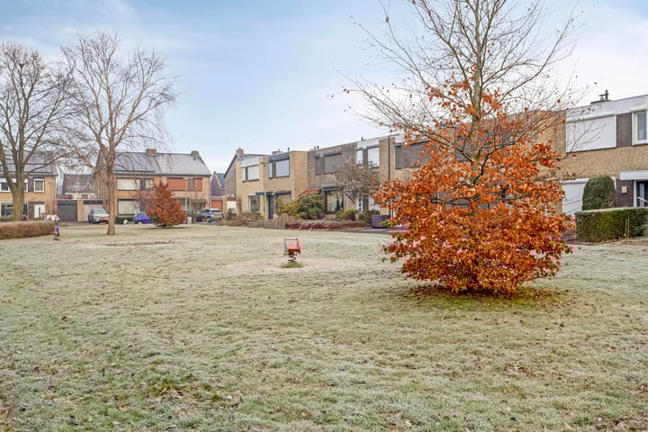 Foto 51 van Bijvoet 6