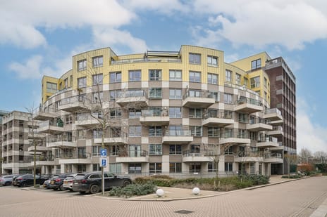 Hofmeesterstraat thumbnail