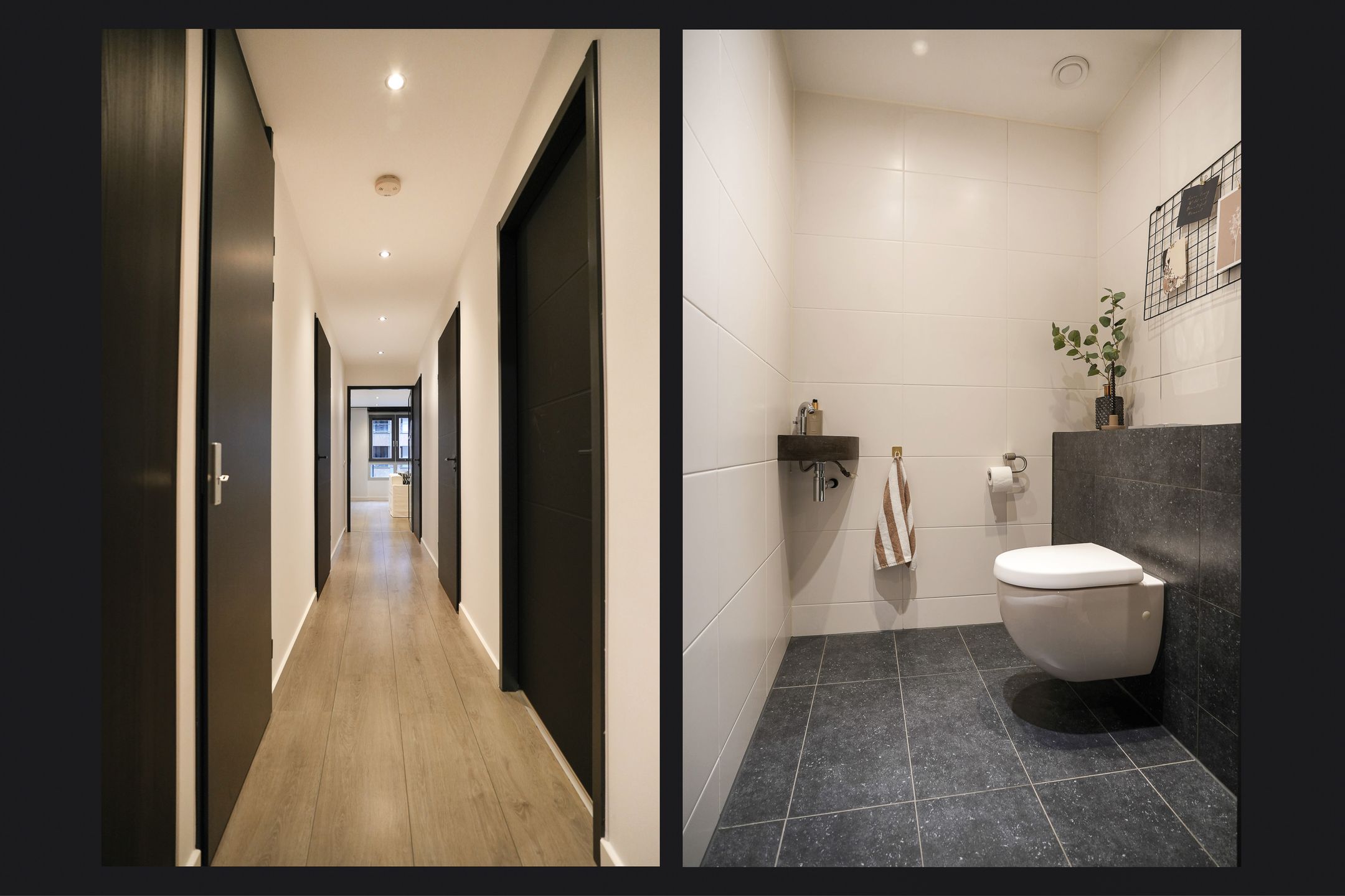 Photo 9 of Hofmeesterstraat 20