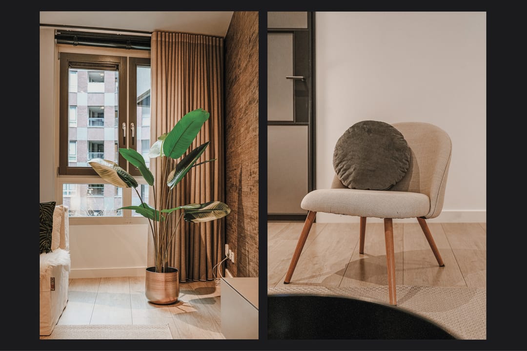 Photo 17 of Hofmeesterstraat 20