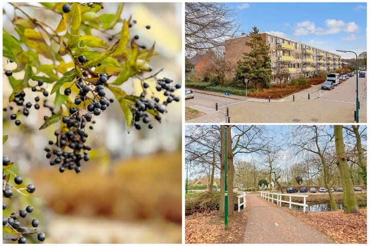 Foto 2 van Abt Ludolfweg 88