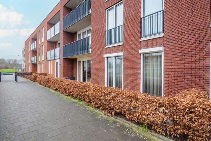 Foto 29 van De Pionier 4