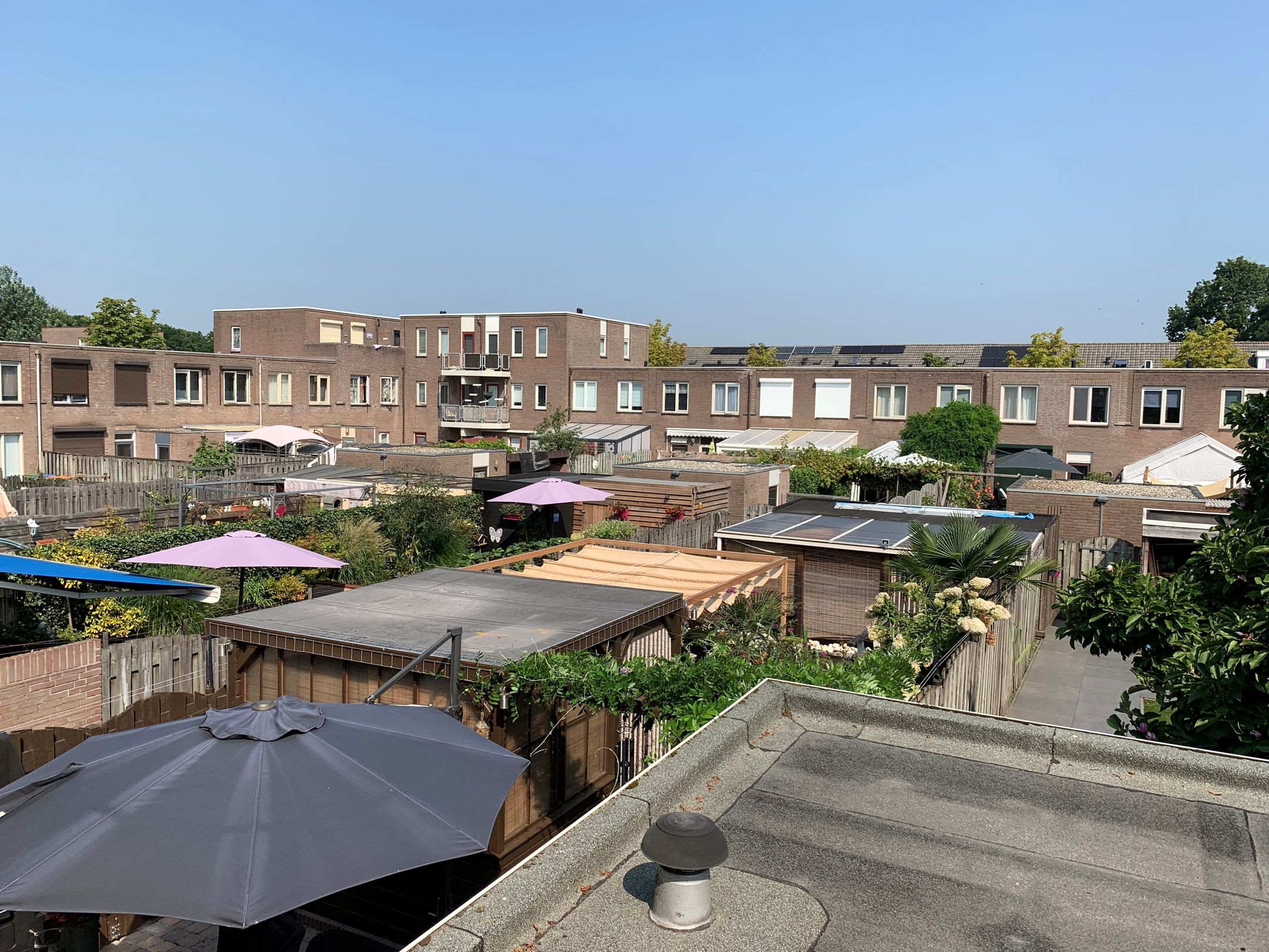 Foto 15 van Diderica Mijnssenstraat 38