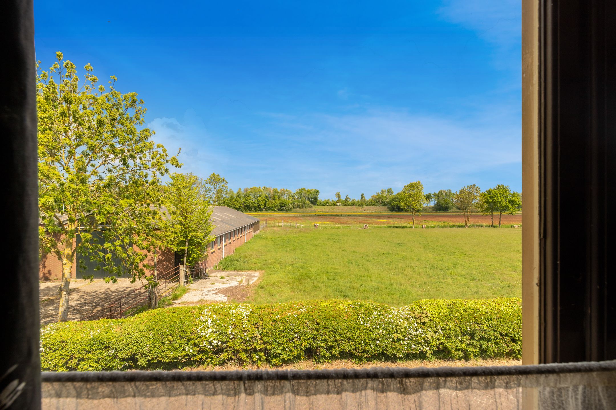 Foto 24 van Brakersweg 43