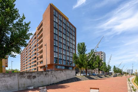 undefined main image